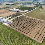 Apartamento Le Scuderie 10 *